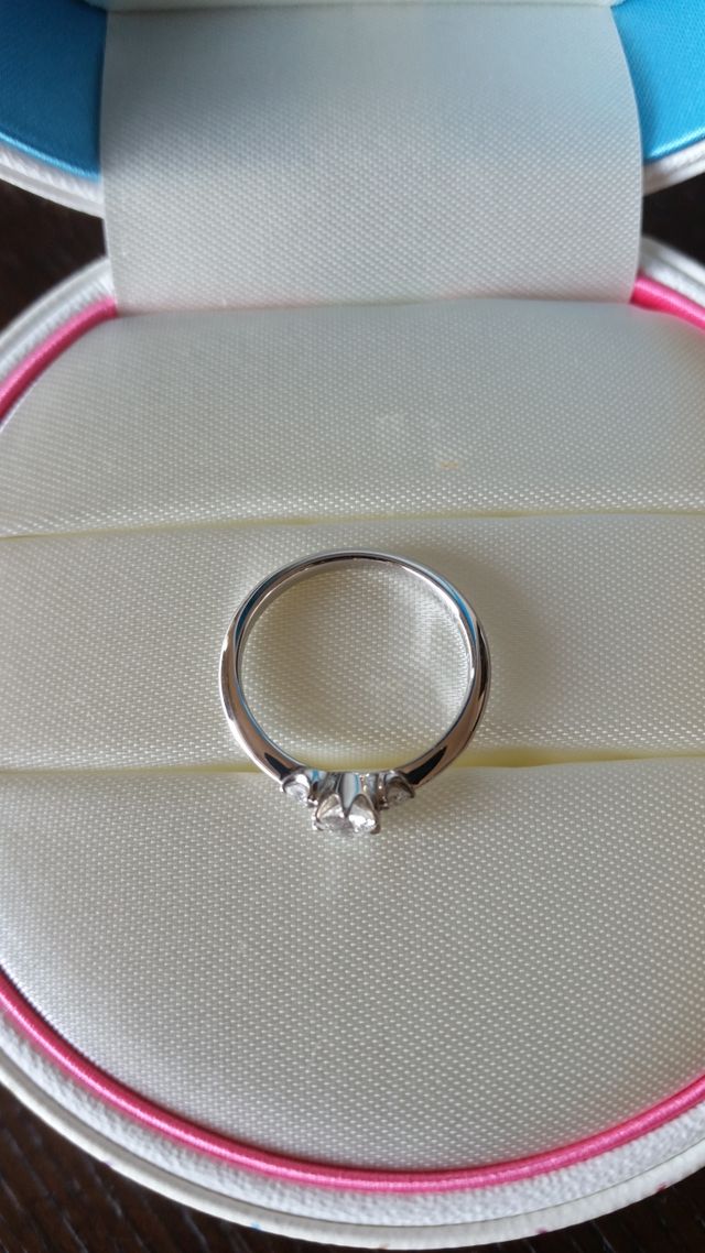 上から見るとこんな感じです。