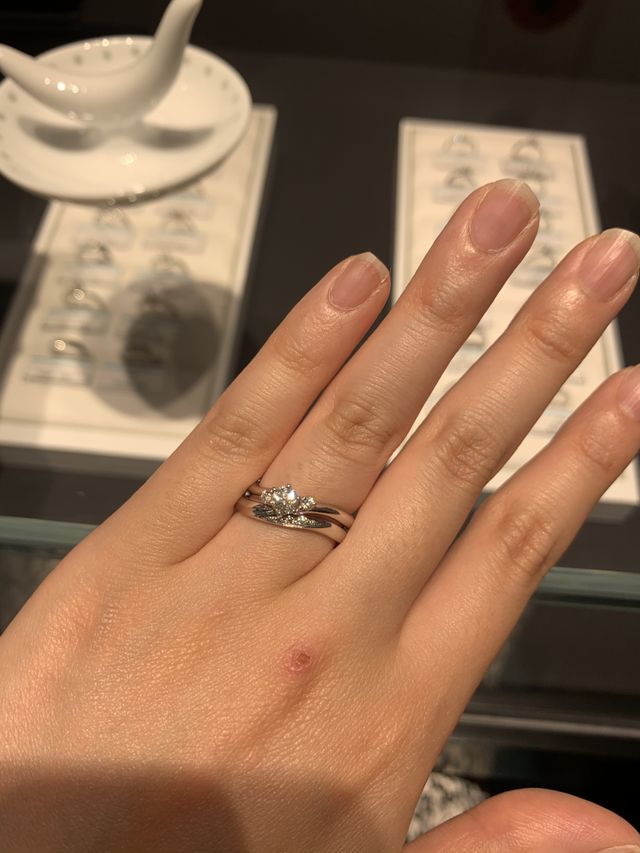 2020年３月末に発売されたばかりの新作のセットリングです。