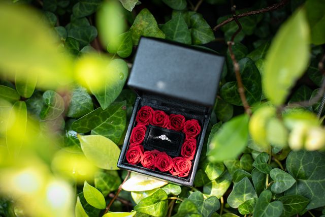 前撮りで撮影していただきました♡