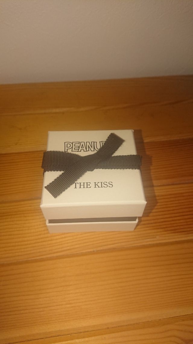 購入時についてくる箱です