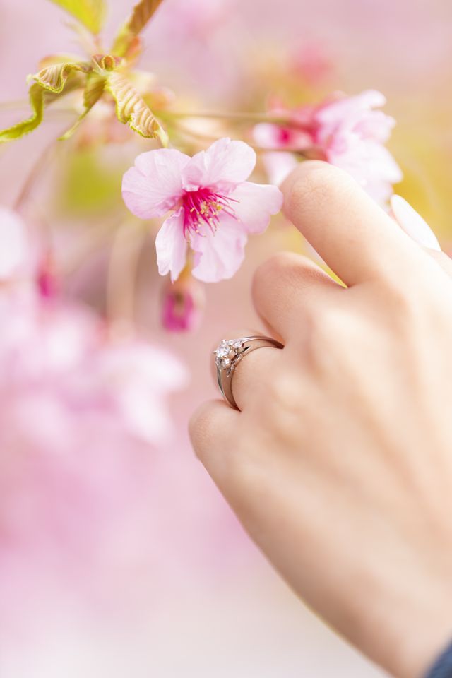 王道のバレリーナ♡
知ってる人なら憧れるモデル。