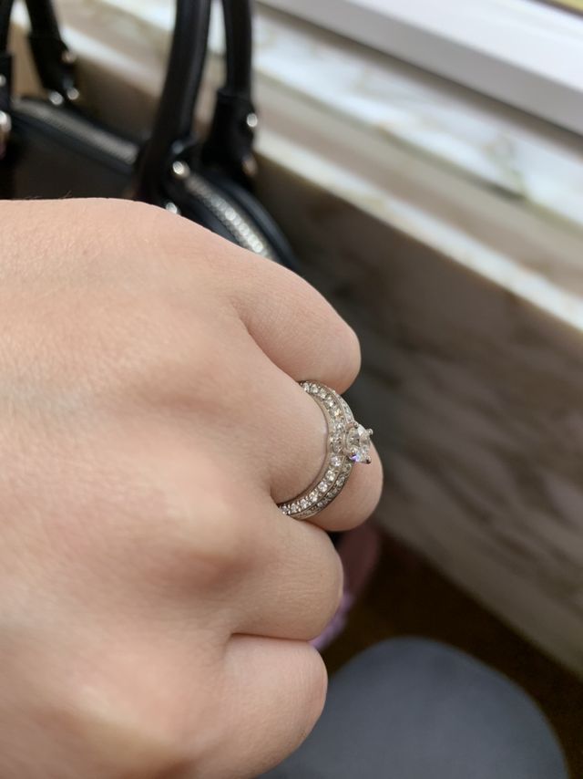 テディカータアヴェネツィア