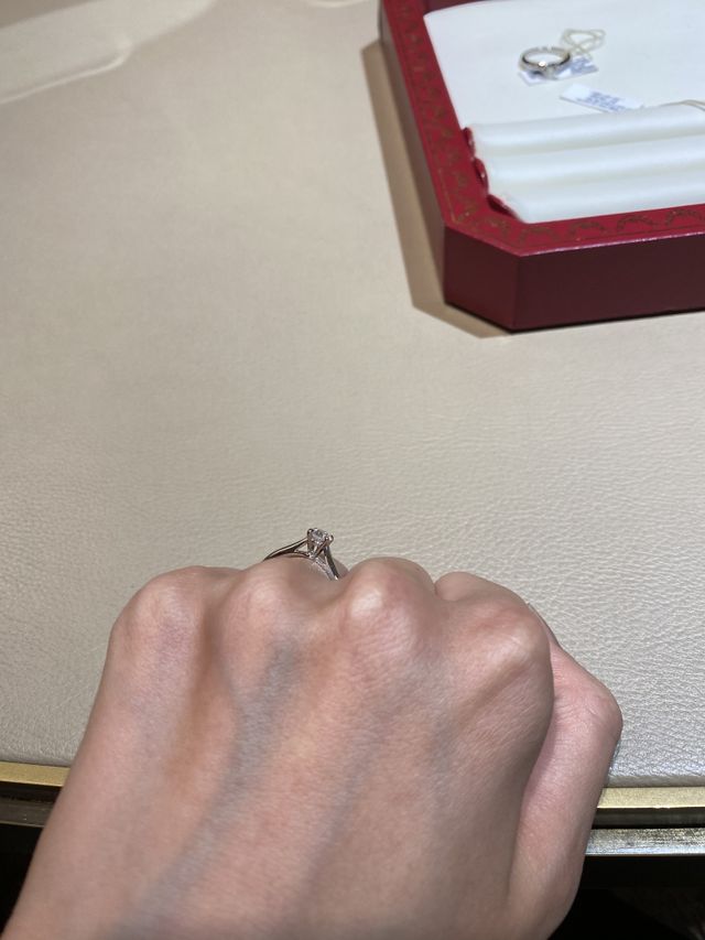 高さがわかるよう横から撮りました。ご参考にされてみて下さい。