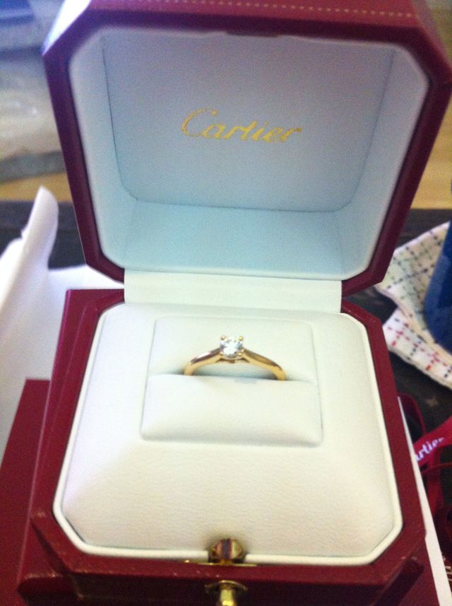 ケースに入れた状態