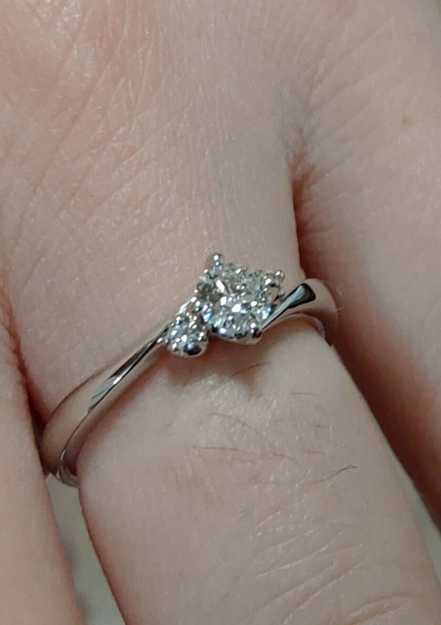 撮り方が下手ですが、アップの写真です。