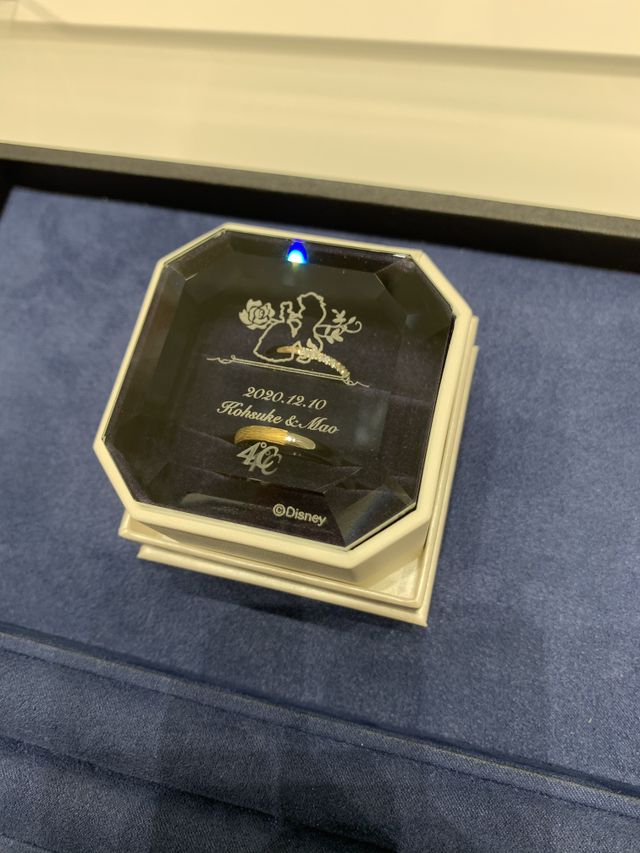 美女と野獣のモデル
シルバーとゴールドのバイカラー