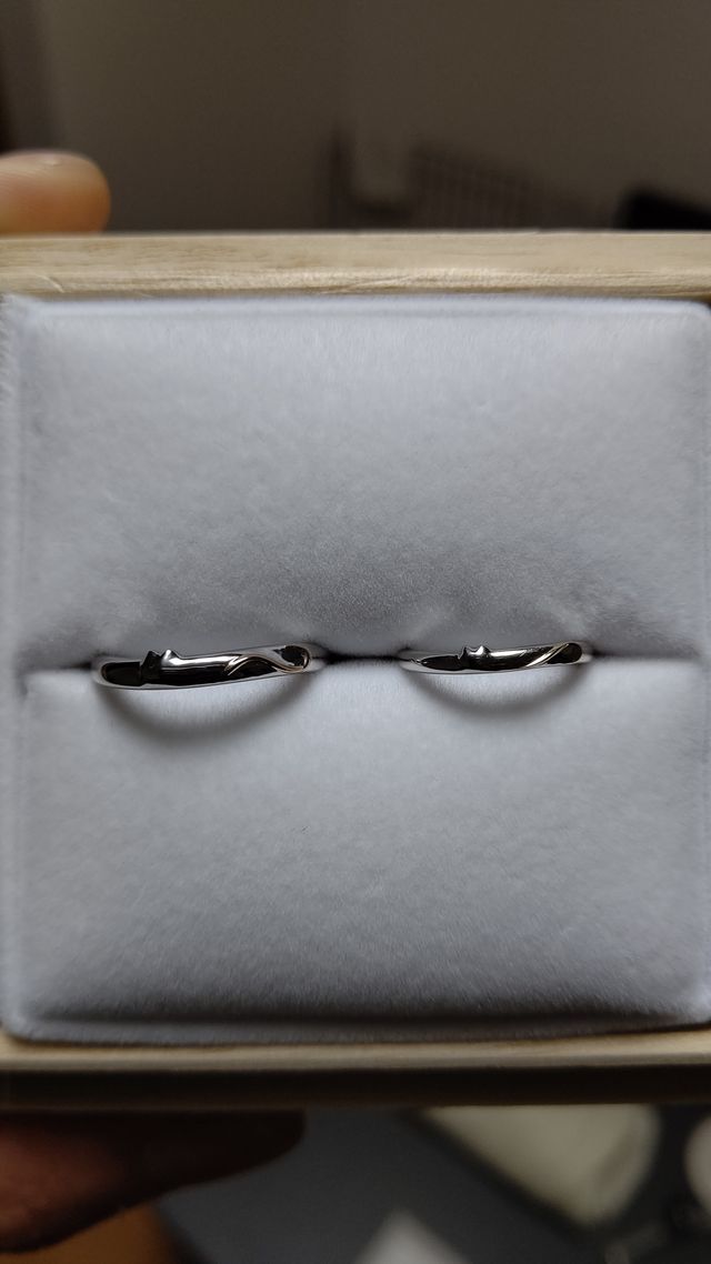 然り気無く猫を取り入れたデザイン