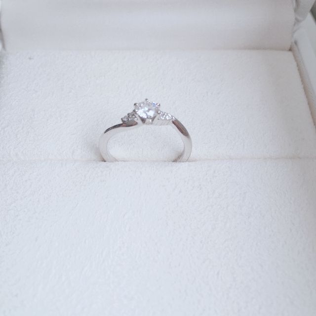 ケースに入れてとりました。