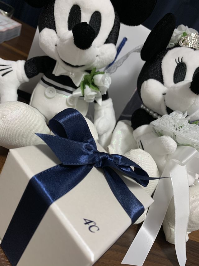 ボックスと一緒に、ミッキーミニーのぬいぐるみも購入！