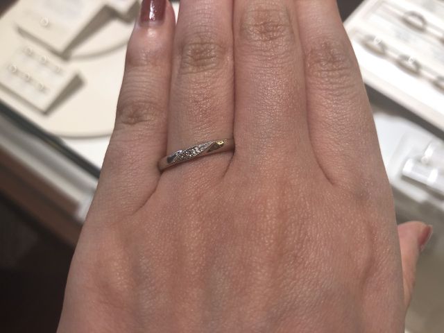 着用の写真です