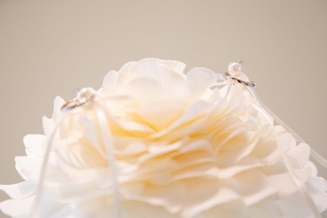 内側のピンクゴールドが可愛い♡