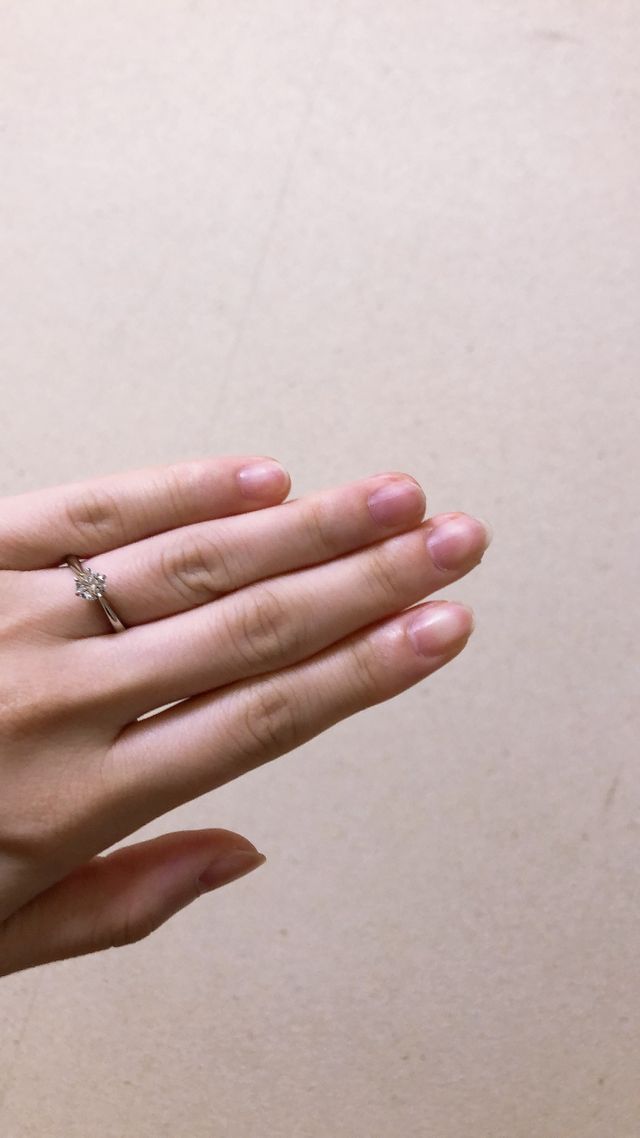 レヴァランス着画