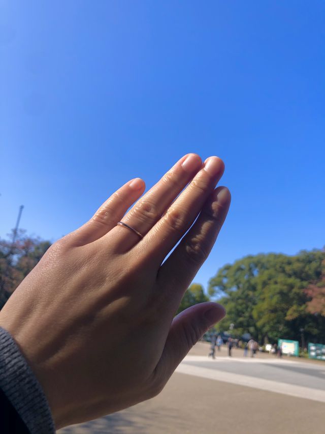 プラチナとピンクゴールドの2色で作ってもらいました。