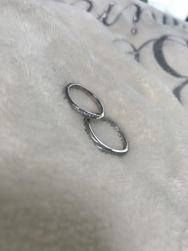 スターリー。名前のとおり、流れ星のようにキラキラです。