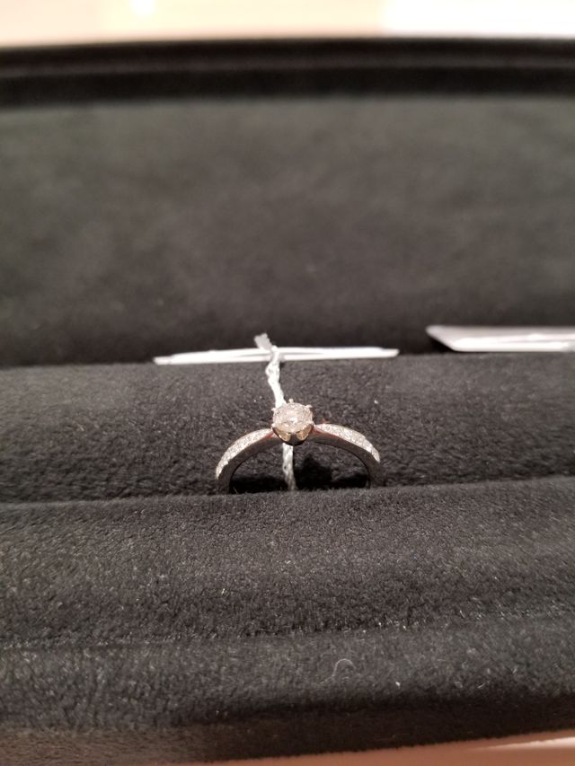 2種類で迷い中。