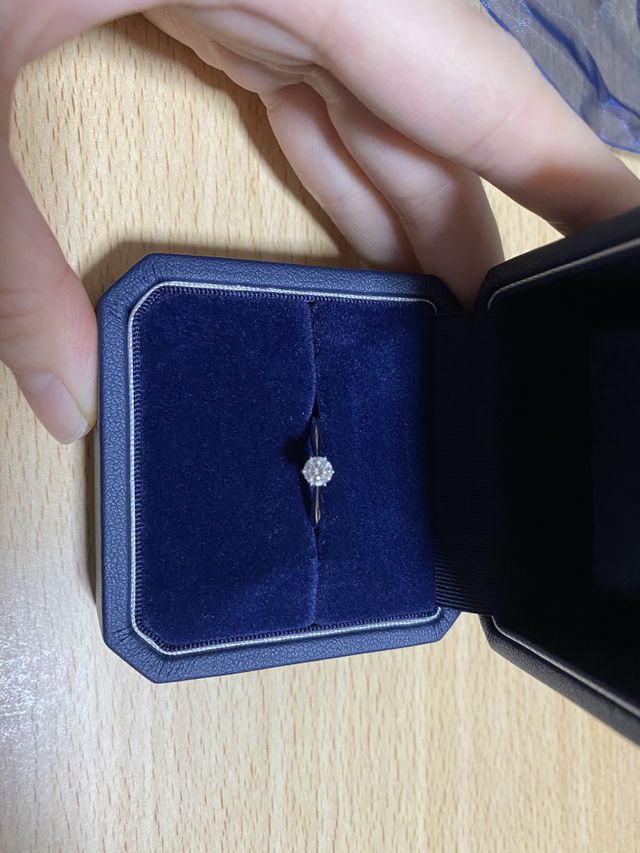 もらった当日の写真です。