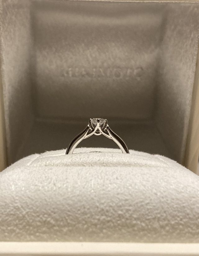 横から見ると可愛らしいです。