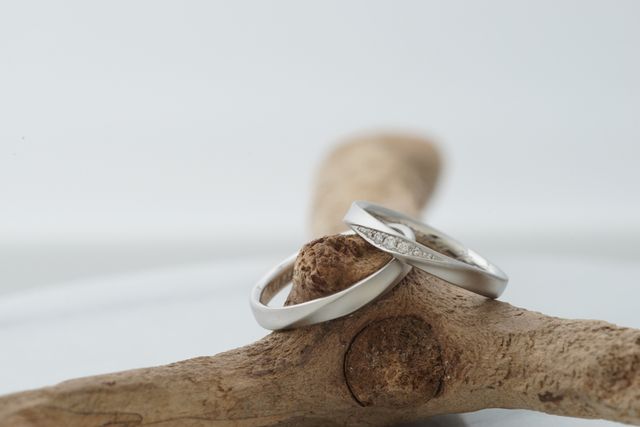 マット素材
プラチナ