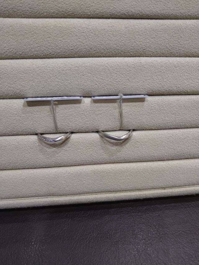 実物のキラキラに惹かれてしまいました。