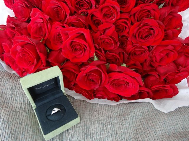 パカっをしてもらった時の輝きが素敵すぎました。
