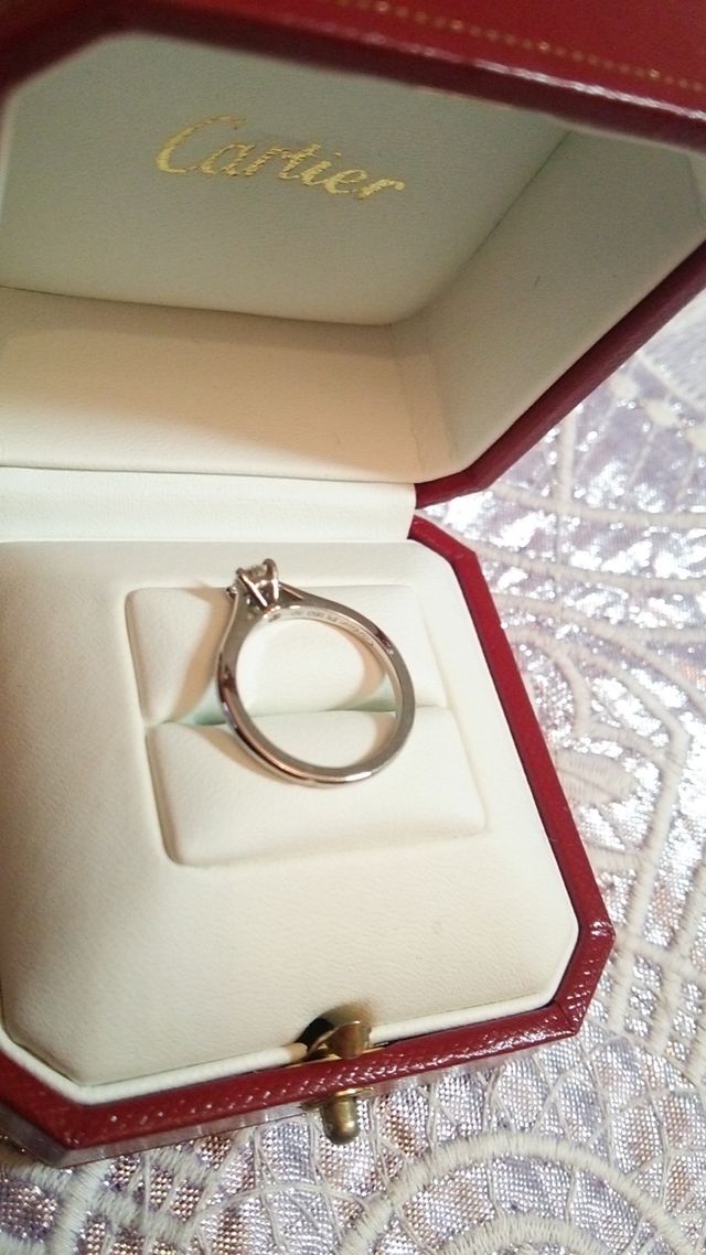 横から見た図。