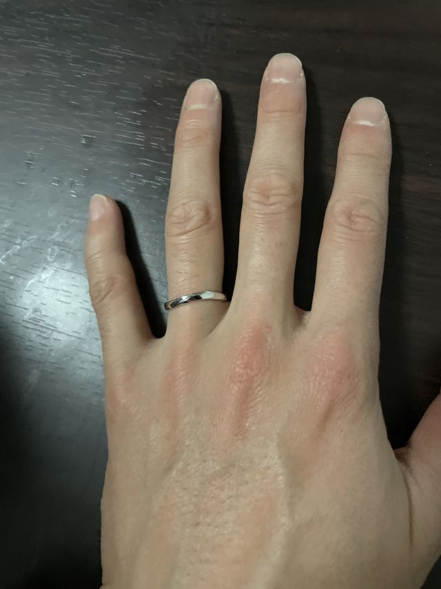 ペルセウスというモデルです。