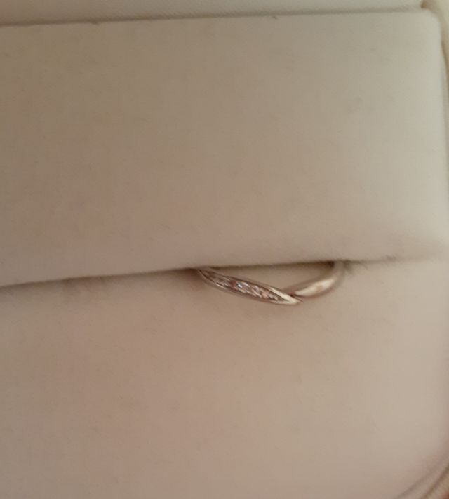 V字型で、正面の左側半分だけに装飾がついてます。