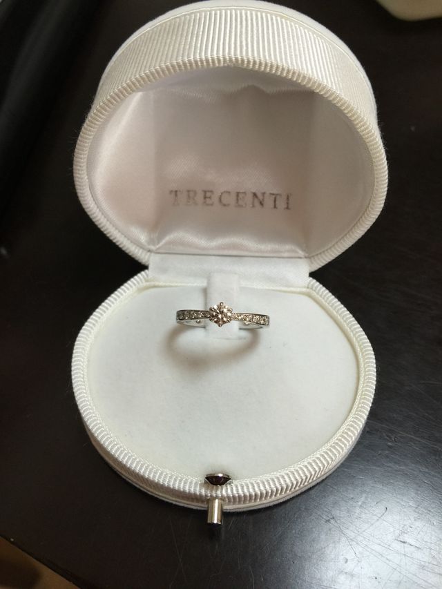 指輪、ケース全体