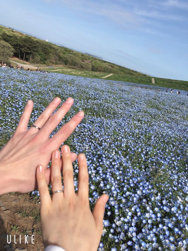 エンゲージメントフォトを撮るときに撮りました！