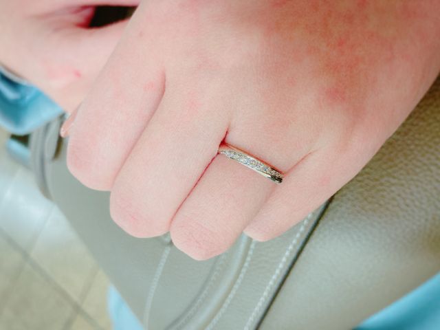 キラキラ光っています。