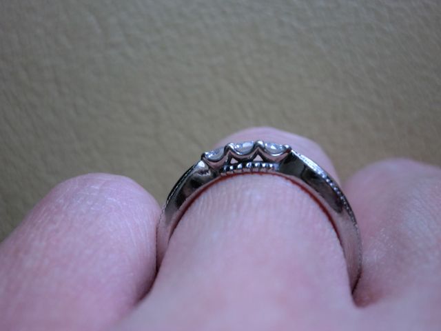 横から見た写真