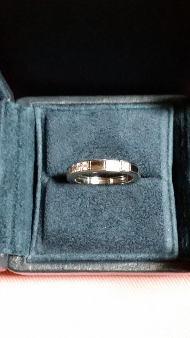 少しアップで撮っています