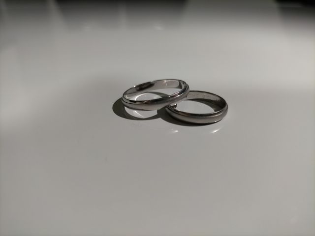 主張がないシンプルなデザインを気に入りました。