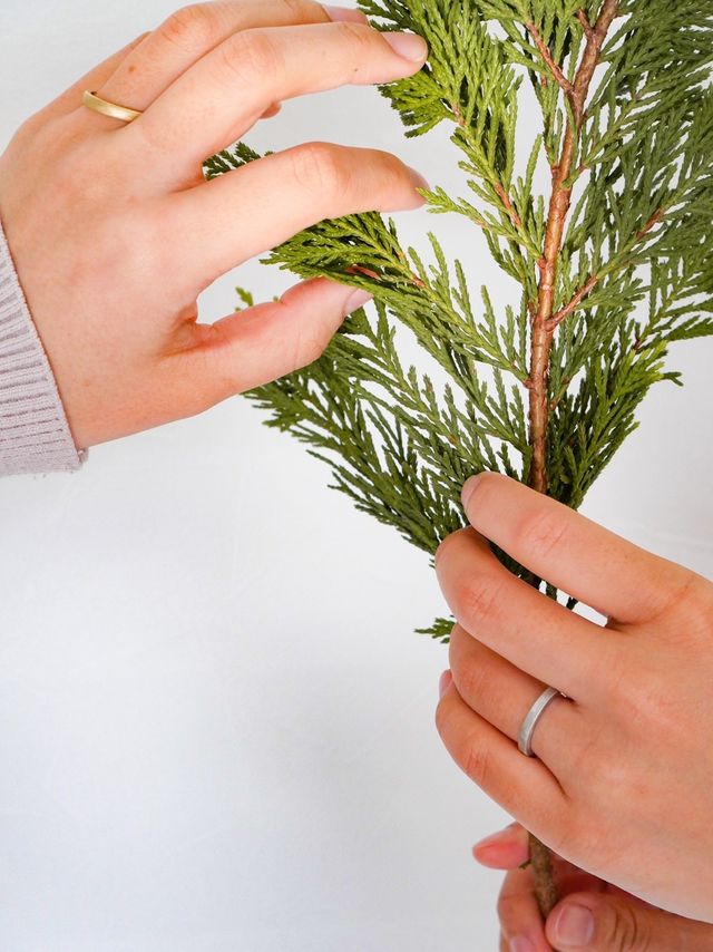 撮影してもらったもの