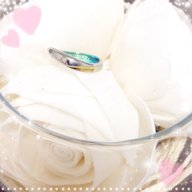 中に色が付いているのが分かりやすい画像です。