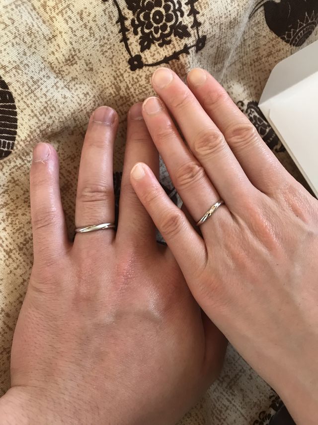 気に入っています。