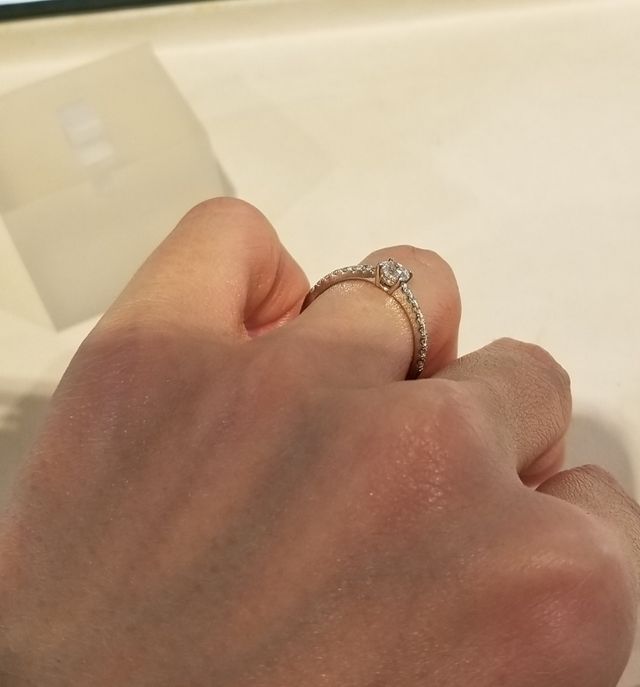 大丸松坂屋モデル