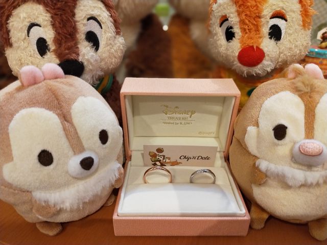 チップ、デールと一緒の写真