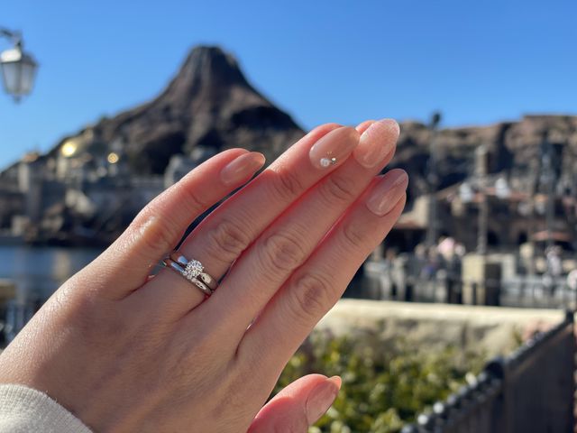 上が婚約指輪のハーモニー。下が結婚指輪になります。