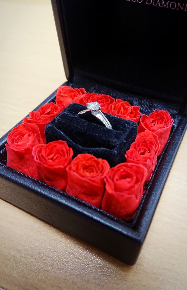 自宅で撮影したものです。