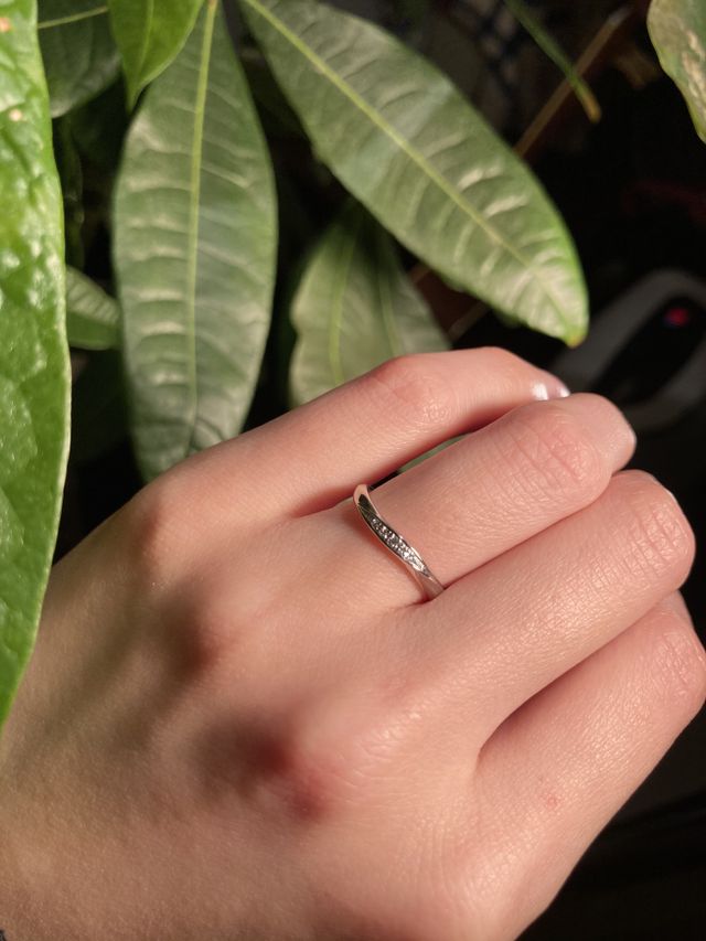 ダイヤモンドがきれいです。