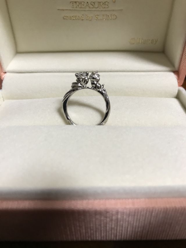 ディズニーマリー