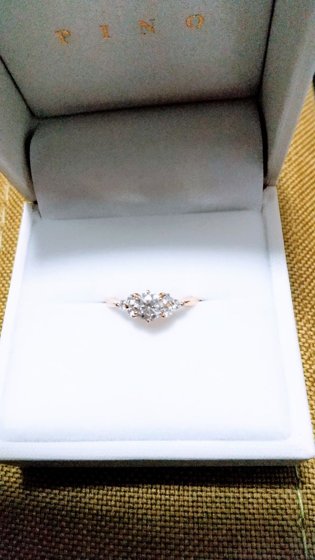 ケースに入れた状態