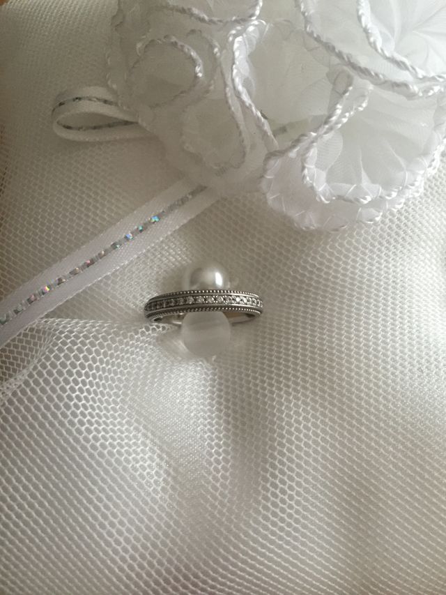 未着用の時の全体像です。