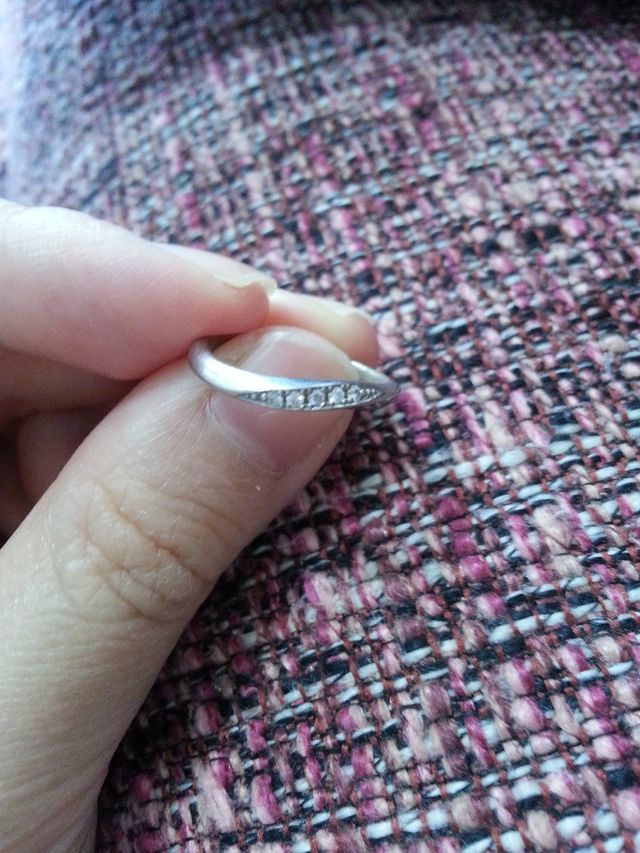 正面からの写真