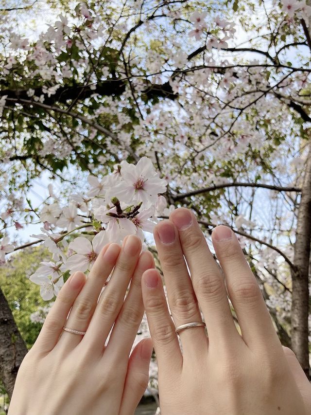 年始に購入し桜の時期に納品されました。帰り道に撮った写真です