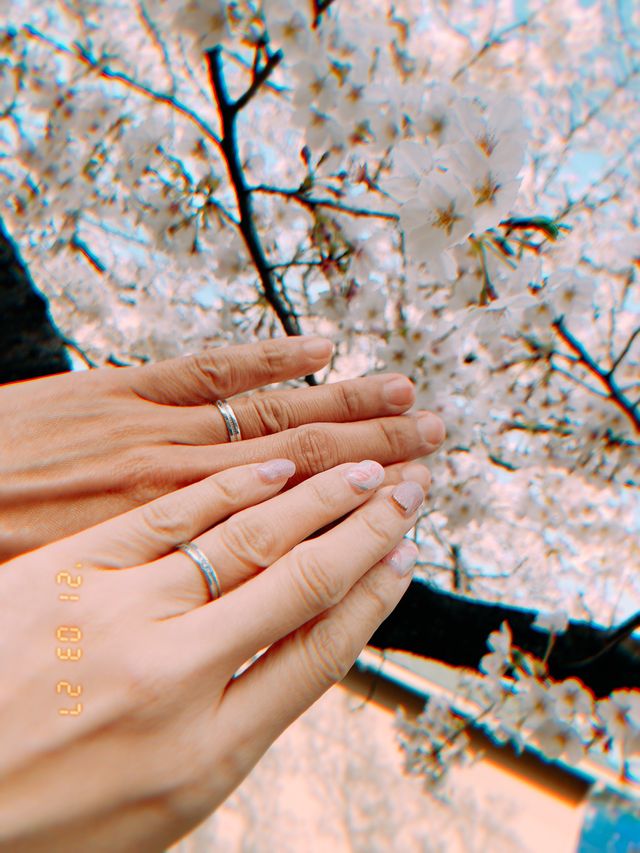 入籍をして指輪が届き、桜とともに記念撮影した様子。