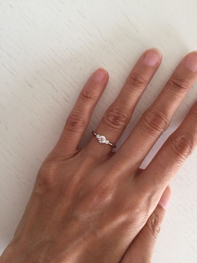 装着写真です。