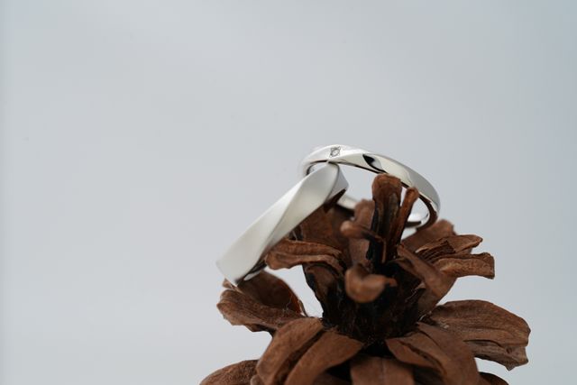 結婚指輪そのものの写真のデータも頂けるので、記念になります。