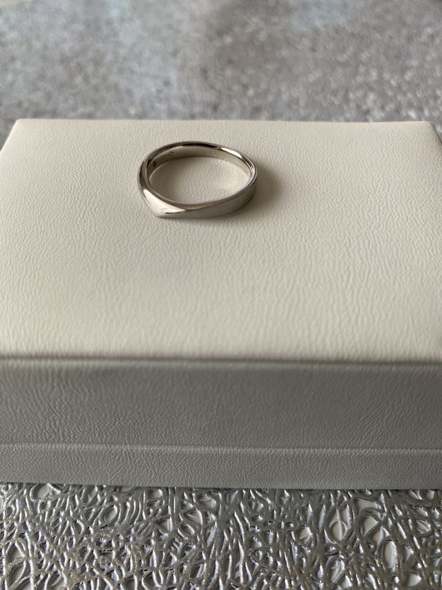 指輪のみです。